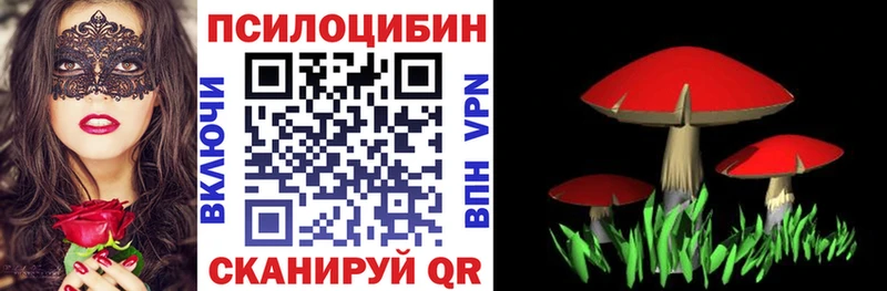 mega tor  где купить наркотик  Павлово  Галлюциногенные грибы ЛСД 