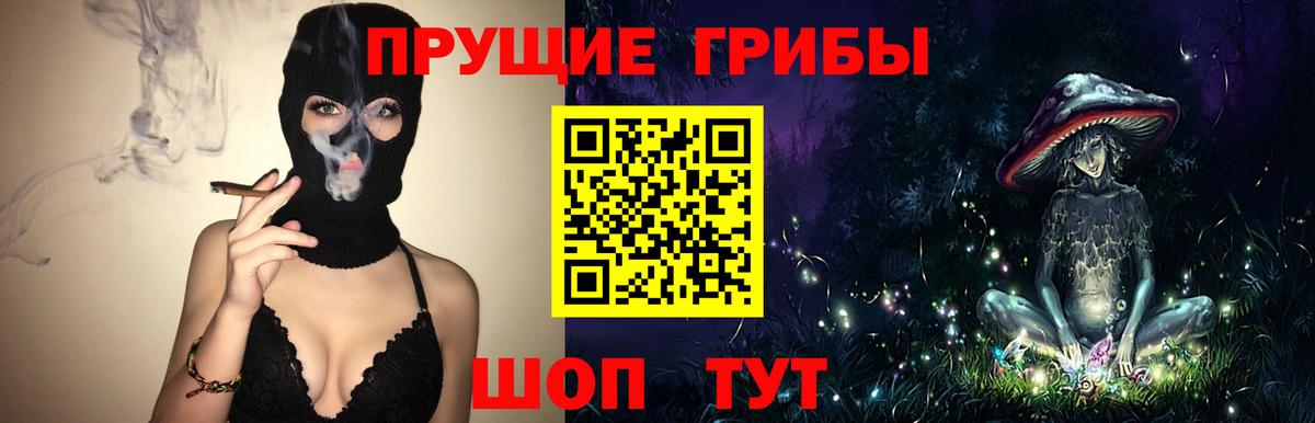 Павлово  Галлюциногенные грибы прущие грибы  Вход с VPN 